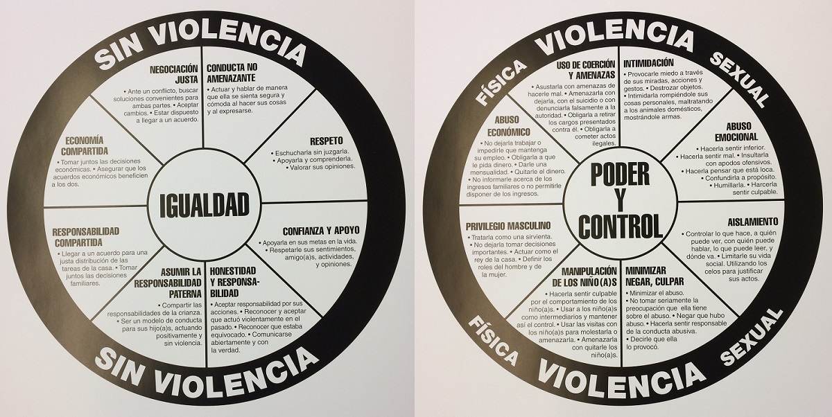 Domestic Abuse, Violencia Sin Violencia, Igualdad, Poder y Control, Michael Paymar